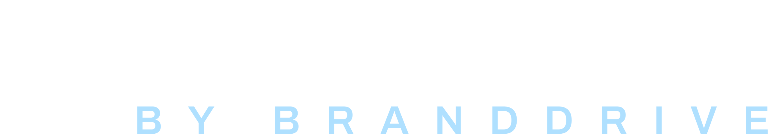 DriveForce Academy